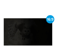 Natec FILTR PRYWATYZUJĄCY RODO NATEC OWL 21.5" 16:9 - 1480439 - zdjęcie 3